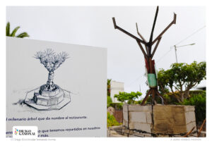 Comparación del boceto con la estructura del Drago Ecocircular de Francis Cabello en el Mesón El Drago - © Jordi Verdés Padrón