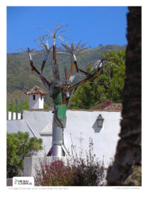 El Drago Ecocircular de Francis Cabello en el Mesón El Drago ya va ocupando su espacio en el jardín y se va pareciendo más a lo que será - © Jordi Verdés Padrón